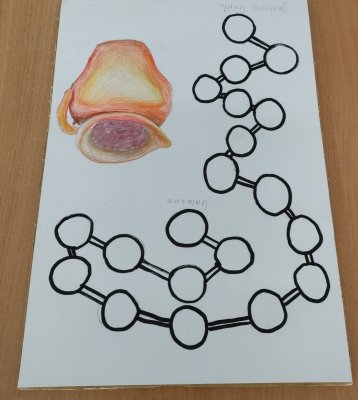 IMG20240226121846~2_copy_1594x1777